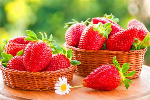 草莓